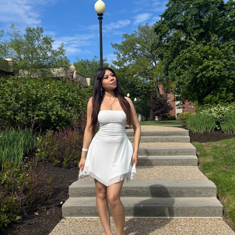 Windsor Sparkly White Dress